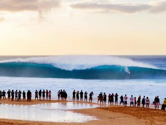 World Famous Pipeline(half day north shore tour only)