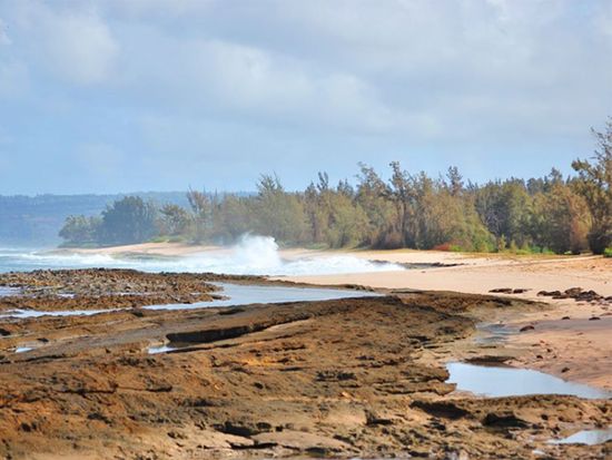 Haleiwa Police beach(north shore half day tour only)