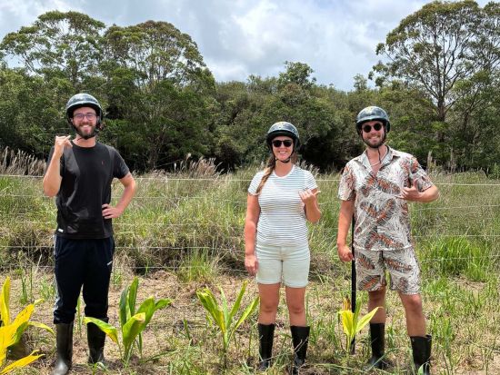 ハワイ島　ATVツアー　4人乗りバギー　広大な牧場内を四輪バギーで巡る！果物狩り＆動物ふれあい体験付き＜午前・午後／英語ガイド＞by オハナ・ランチ