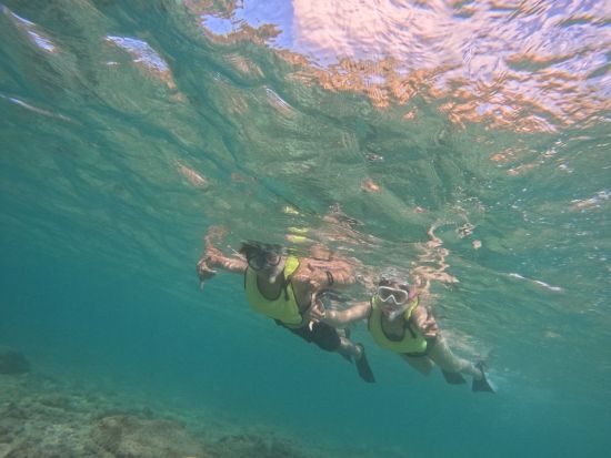 ハナウマ湾シュノーケリング　最大5名までの少人数制で日本語ガイドがしっかりサポート！水中写真データ付き＜日本語ガイド／ワイキキ送迎付き＞by ブリーズハワイ