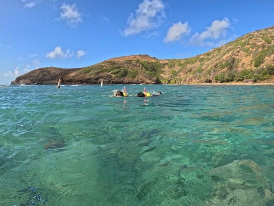 ハナウマ湾シュノーケリング　最大5名までの少人数制で日本語ガイドがしっかりサポート！水中写真データ付き＜日本語ガイド／ワイキキ送迎付き＞by ブリーズハワイ