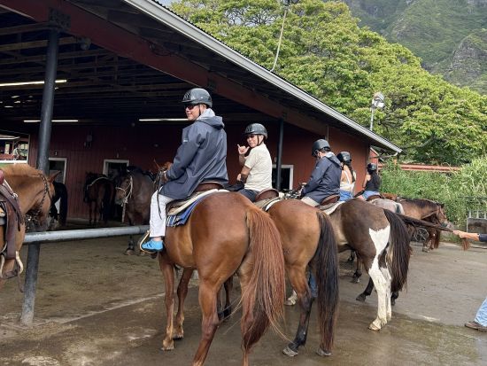 オアフ島1日観光　クアロア・ランチでのアクティビティ＋ハレイワタウン＋この木なんの木＋ドールプランテー ション　ランチはジョバンニへ立ち寄り！＜日本語ガイド＞