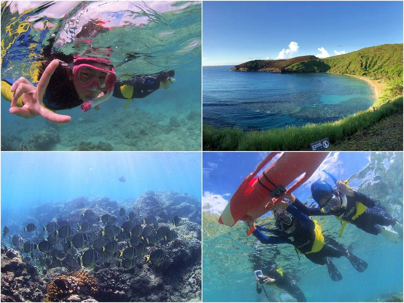 P3272485,P9117683,P6126448,5FF1E8D1-F4B1-405C-B72C-2C7D1CA72244