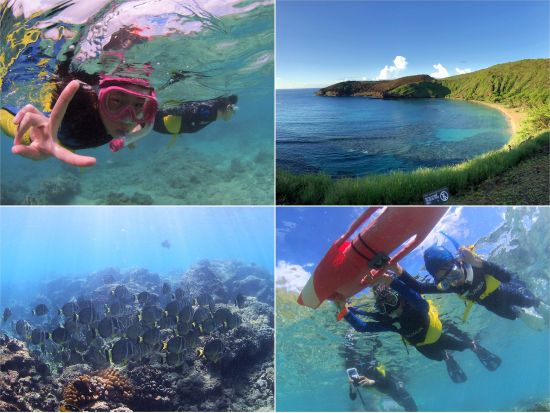 ハナウマ湾シュノーケリング　1日5名限定！予約不要でらくらく入場　水中撮影付き&データ無料プレゼント！＜午前・午後／日本人インストラクター同行＞