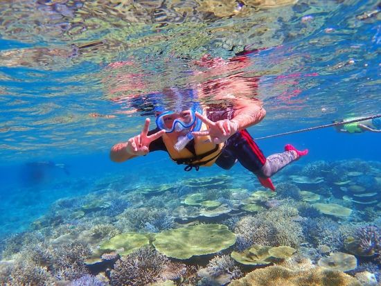 パナリ島シュノーケリングツアー 大自然とサンゴ礁が広がる海を満喫！西表島マングローブカヌー付きの1日プランも！＜送迎あり／半日 or  1日＞