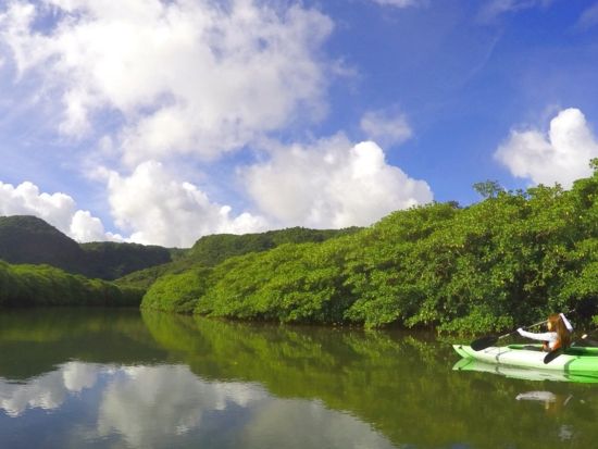 ピナイサーラの滝ツアー 沖縄県が誇る落差55mの滝へ！カヌー＆トレッキング体験も◎＜送迎あり／1日ツアーは昼食付 ＞