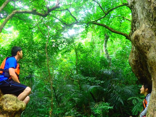 ピナイサーラの滝ツアー 沖縄県が誇る落差55mの滝へ！カヌー＆トレッキング体験も◎＜送迎あり／1日ツアーは昼食付 ＞