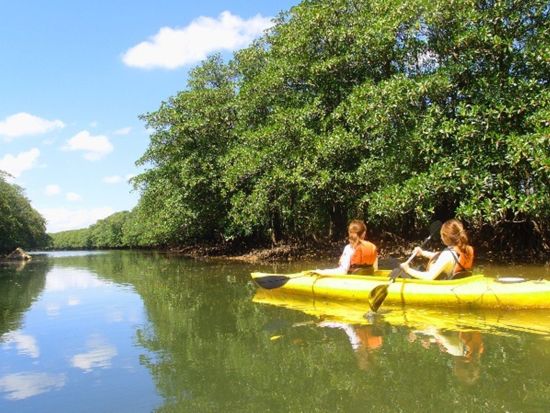 西表島マングローブカヌー＆由布島観光ツアー 1日でアクティビティ体験と観光を大満喫！冒険気分で大自然を遊びつくそう◎＜送迎あり／約7時間＞