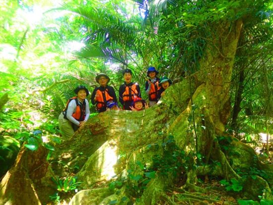 西表島マングローブカヌー＆キャニオニング1日ツアー 飛び込んで泳いで気分爽快！大自然の中で心も身体もリフレッシュ♪＜送迎あり／昼食あり／約7時間＞