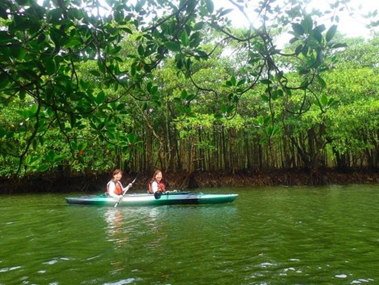 スケジュール3-3