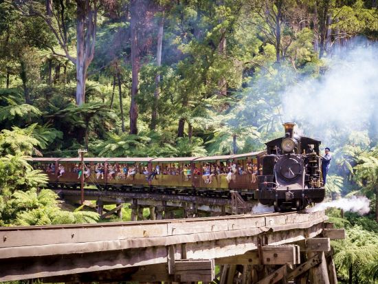 蒸気機関車パッフィンビリー＆フィリップ島ペンギンパレード1日ツアー　ノビーズ展望台からの絶景も満喫！＜英語ガイド／日本語オーディオガイド＞