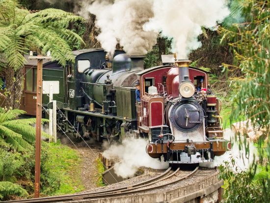 蒸気機関車パッフィンビリー＆フィリップ島ペンギンパレード1日ツアー　ノビーズ展望台からの絶景も満喫！＜英語ガイド／日本語オーディオガイド＞