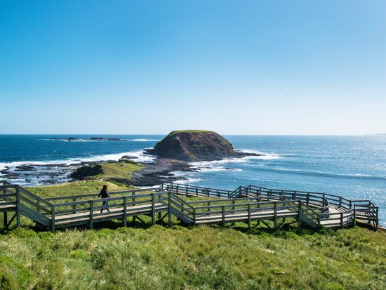 The Nobbies_Phillip Island