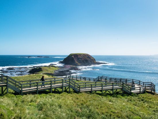 蒸気機関車パッフィンビリー＆フィリップ島ペンギンパレード1日ツアー　ノビーズ展望台からの絶景も満喫！＜英語ガイド／日本語オーディオガイド＞