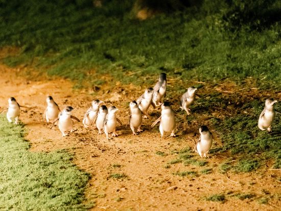 158247-56 (Polly Gibson's conflicted copy 2025-02-21)