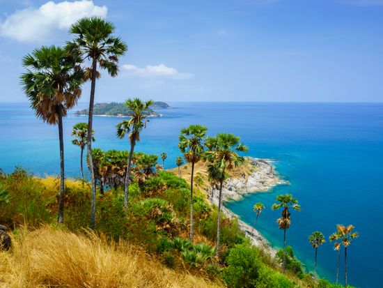 shutterstock_186464678