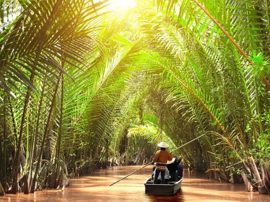 【貸切】メコン川クルーズ1日ツアー　チョコレート工場見学＋永長寺＜日本語ガイド／象耳魚の昼食＞