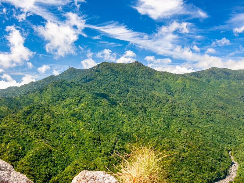 [残り1点のみ]屋久島額装写真 今日の写真は，屋久島の椨川で撮影された，自然の中のブランコの