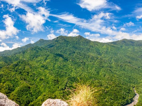 【鹿児島本港南埠頭発着】鹿児島⇔屋久島 高速船＋レンタカー1泊2日プラン カーナビ標準装備で安心ドライブ！＜宮之浦港から徒歩5分＞by わかさ旅行センター