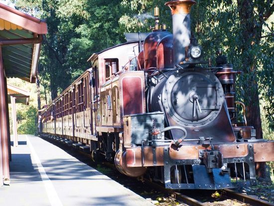 shutterstock_1449371468