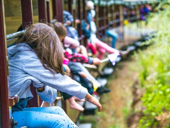 shutterstock_1127945846