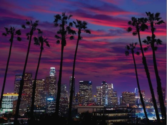 Hollywood Night Tour (5)