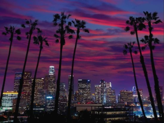 グリフィス天文台 夜景鑑賞ツアー 　夜の市街をドライブ観光 ＜英語ドライバーガイド＞