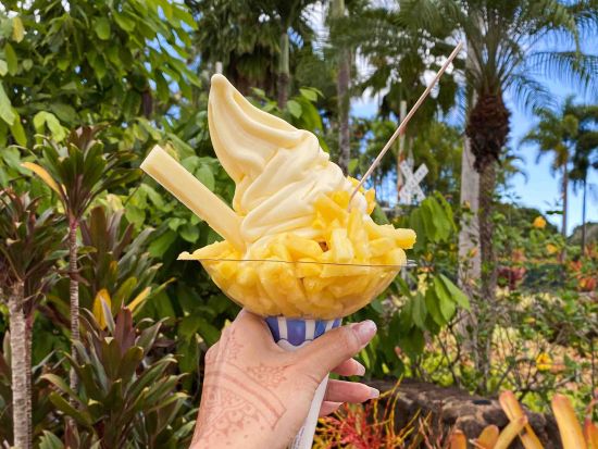 オアフ島1日観光　クアロア・ランチでのアクティビティ＋ハレイワタウン＋この木なんの木＋ドールプランテー ション　ランチはジョバンニへ立ち寄り！＜日本語ガイド＞