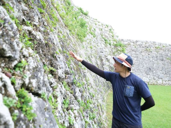 読谷村周遊ジオツアー まるで野外博物館！残波岬・座喜味城跡・やちむんの里 沖縄の自然史を学ぶ半日プラン＜送迎あり／読谷村発＞