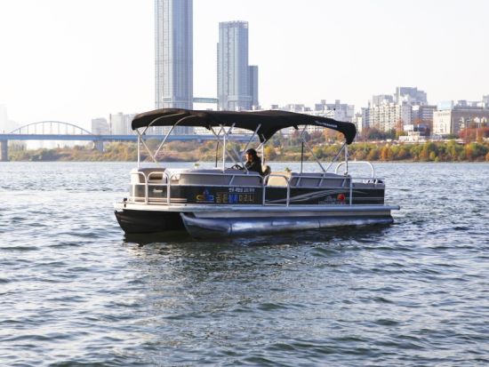 漢江レインボー ボートツアー　盤浦大橋の虹噴水とセビッソム夜景を満喫するナイトクルーズ＜セビッ島発／19:30または20:30＞