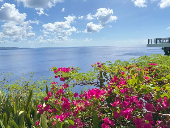 【グアム政府公認日本人ガイド】貸切観光チャーター　セダンまたはミニバン　自由にアレンジできるフリープラン＜3～14時間／最大7名／日本語ガイド／1台あたり料金＞