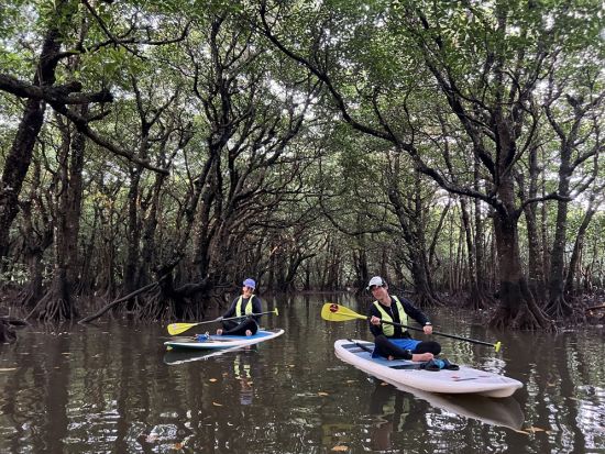 SUP＆アウトリガーカヌーツアー！ローカルガイドがご案内 SUPと6人乗りカヌーで西表島の大自然を満喫＜1日／3歳～／昼食・送迎付き／西表島＞