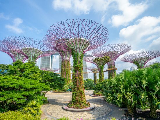Singapore_Gardens by the Bay_Supertree Grove_shutterstock_1153910839