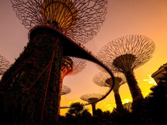 近未来型植物園 ガーデンズ・バイ・ザ・ベイ　入場チケット事前予約