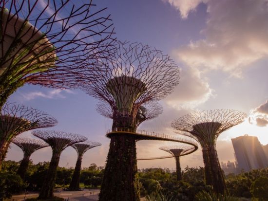 近未来型植物園 ガーデンズ・バイ・ザ・ベイ　入場チケット事前予約