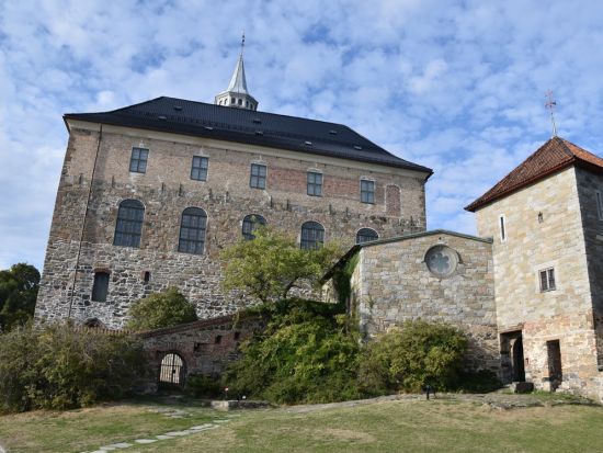 見どころを効率よく巡る！オスロ市内ウォーキングツアー＜貸切／3時間／日本語ガイド＞