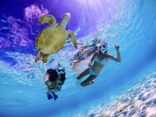 《少人数制》英語・中国語対応可能！水中写真無料プレゼント！初めての方も丁寧にレクチャーします★高遭遇率ウミガメビーチシュノーケルツアー