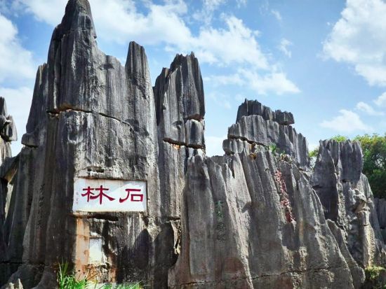 雲南の二大世界遺産を堪能！雲南石林と澄江化石地世界自然遺産博物館 日帰り観光ツアー＜専属日本語ガイド＋専用車／昼食・夕食付／昆明発＞