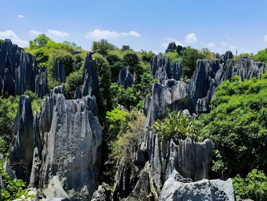 雲南の二大世界遺産を堪能！雲南石林と澄江化石地世界自然遺産博物館 日帰り観光ツアー＜専属日本語ガイド＋専用車／昼食・夕食付／昆明発＞