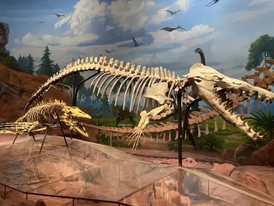 雲南の二大世界遺産を堪能！雲南石林と澄江化石地世界自然遺産博物館 日帰り観光ツアー＜専属日本語ガイド＋専用車／昼食・夕食付／昆明発＞