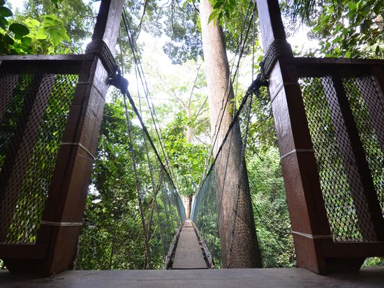 kinabalu_botanical garden_pixta_32584003_XL