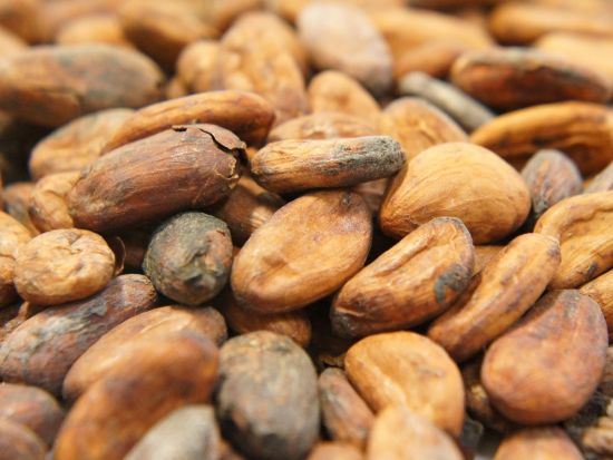 チョコレート・テイスティング体験ツアー　本場ガーナで工場見学＆本格テイスティング！＜英語ガイド／アクラ発／半日＞