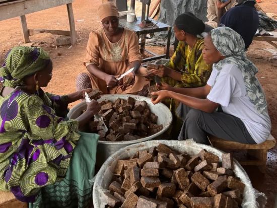 ガーナ伝統のブラックソープ作り体験ツアー　自然素材で肌に優しいブラックソープを手作り！＜アクラ発／半日／英語ガイド＞