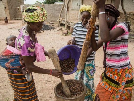 ガーナ伝統のブラックソープ作り体験ツアー　自然素材で肌に優しいブラックソープを手作り！＜アクラ発／半日／英語ガイド＞