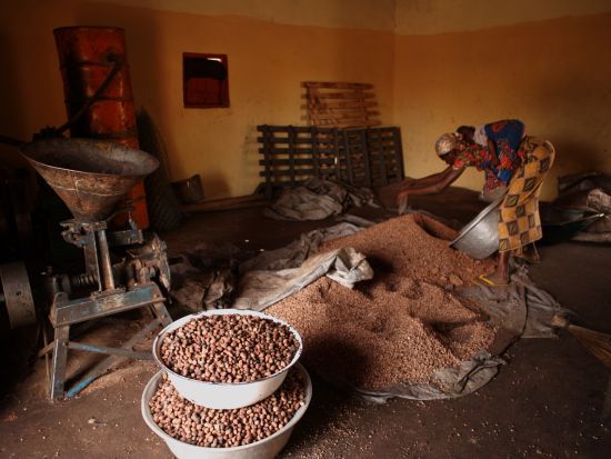 ガーナ伝統のブラックソープ作り体験ツアー　自然素材で肌に優しいブラックソープを手作り！＜アクラ発／半日／英語ガイド＞