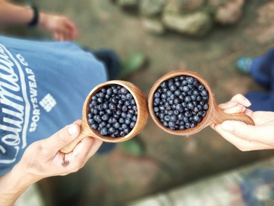 夏季限定！野生ベリー摘み1日エコツアー　リエスヤルヴィ国立公園散策やフィンランド式ランチも満喫＜7～9月／英語ガイド／ヘルシンキ発＞