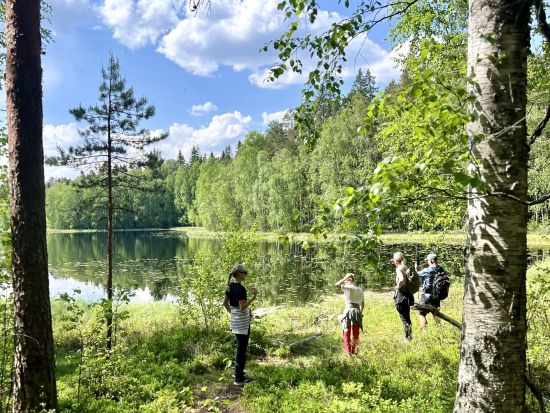 夏季限定！野生ベリー摘み1日エコツアー　リエスヤルヴィ国立公園散策やフィンランド式ランチも満喫＜7～9月／英語ガイド／ヘルシンキ発＞