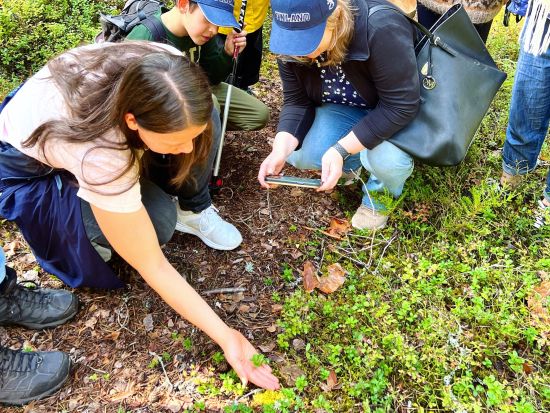 夏季限定！野生ベリー摘み1日エコツアー　リエスヤルヴィ国立公園散策やフィンランド式ランチも満喫＜7～9月／英語ガイド／ヘルシンキ発＞