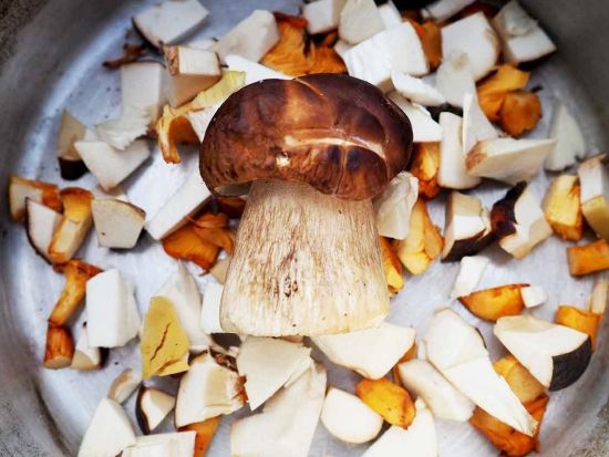 夏秋限定！きのこ狩り1日エコツアー　リエスヤルヴィ国立公園散策やフィンランド式ランチも満喫＜8～10月／英語ガイド／ヘルシンキ発＞