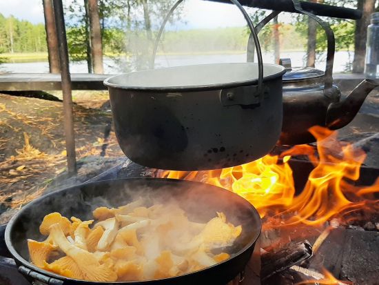 夏秋限定！きのこ狩り1日エコツアー　リエスヤルヴィ国立公園散策やフィンランド式ランチも満喫＜8～10月／英語ガイド／ヘルシンキ発＞